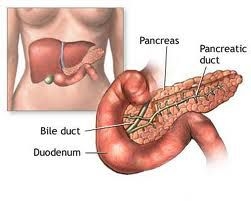 pankreas
